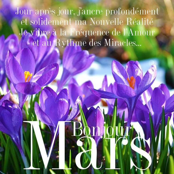 BONJOUR MARS