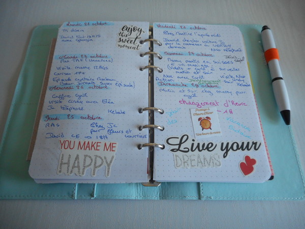 Bullet Journal Planner Mes Pages - Page 9