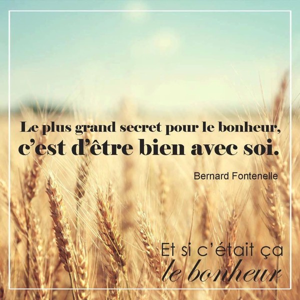 Belles Phrases Citations Proverbes