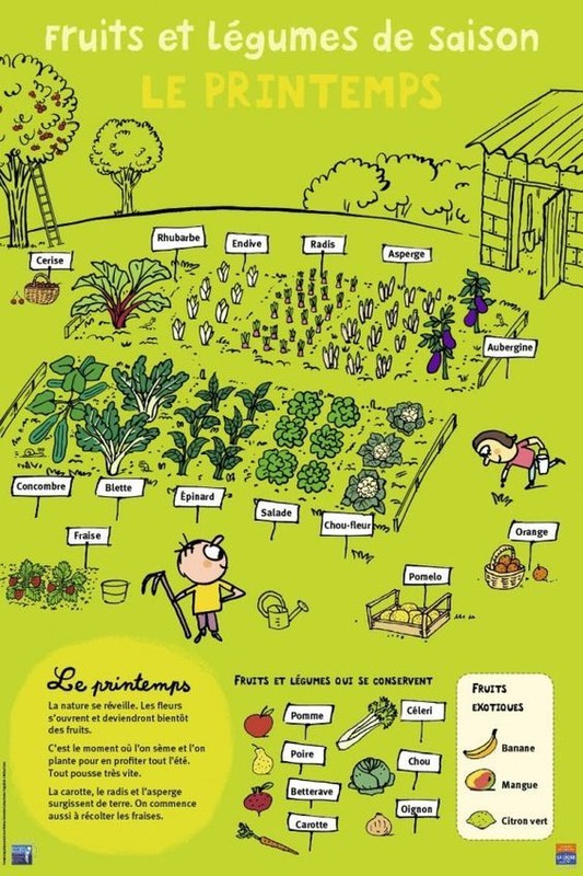 AU FIL DES SAISONS