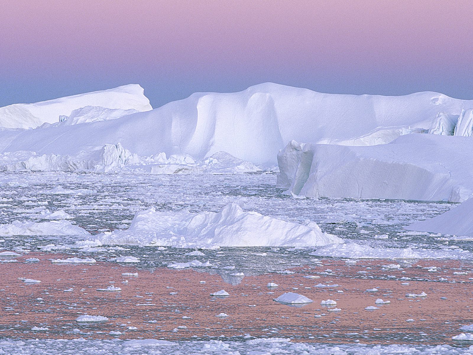 iceberg image