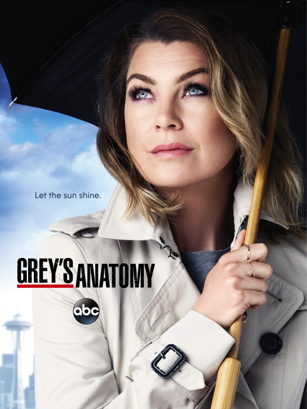 serie grey s anatomy Page 2