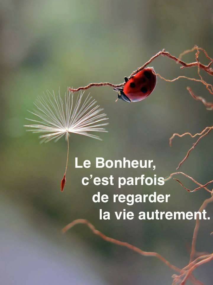 Belles Phrases Citations Proverbes - Page 3